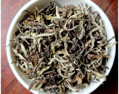 Rare Darjeeling, SFTGFOP, Glenburn Tea Estate